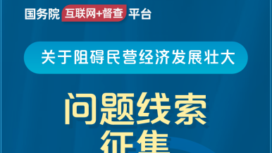 免费看日比片国务院“互联网+督查”平台公开征集阻碍民营经济发展壮大问题线索